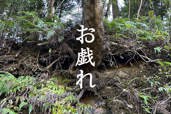 自然とのお戯れ