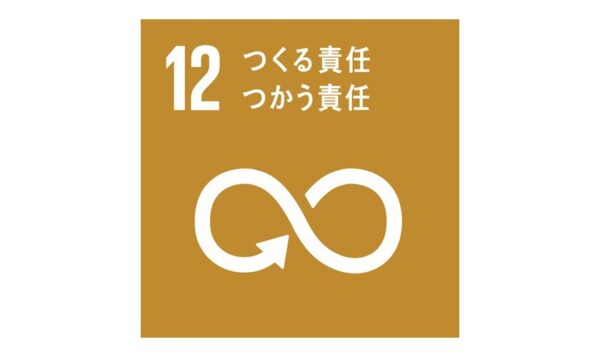 sdgs12