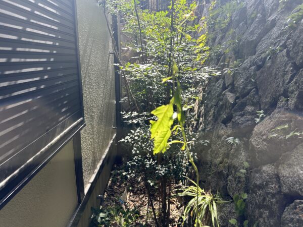 石積補強