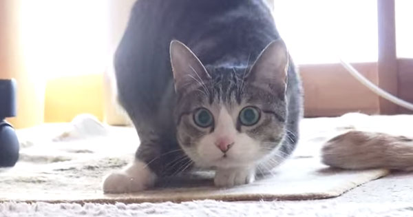 狙う