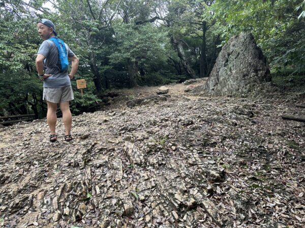 金華山