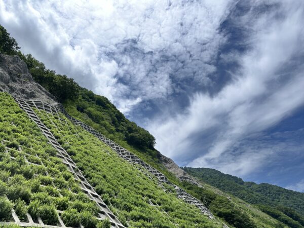 法枠工