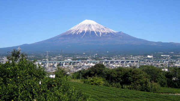 山