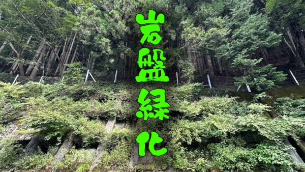 岩盤緑化