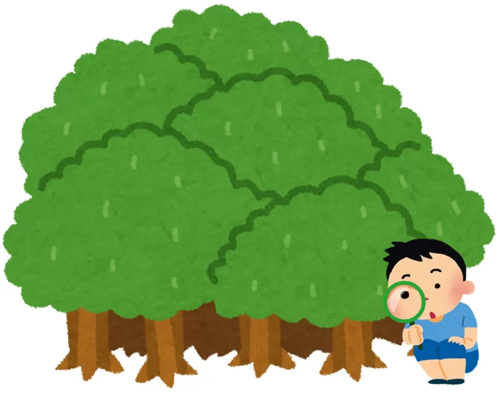 木を見て森を見ず