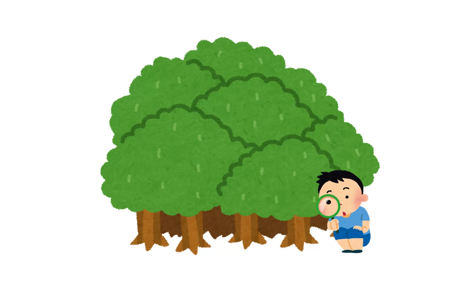 木を見て森を見ず