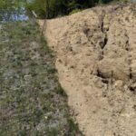 植生マットとガリー