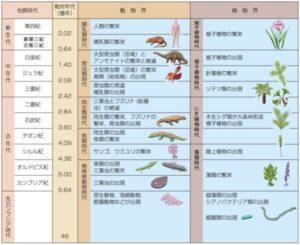 地質時代
