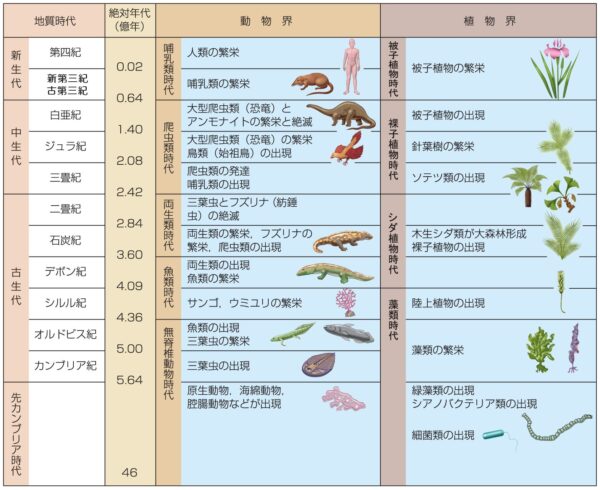 地質時代