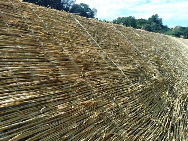 ロンケットワラ