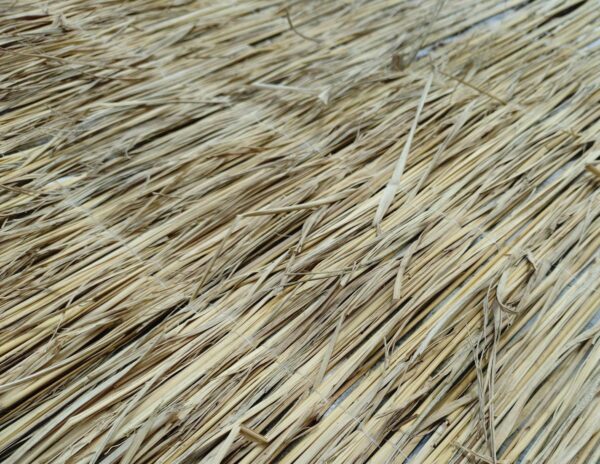 ロンケットワラ