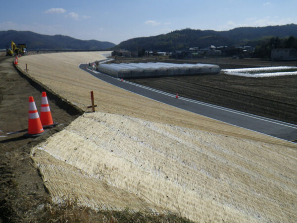 ロンケットワラ