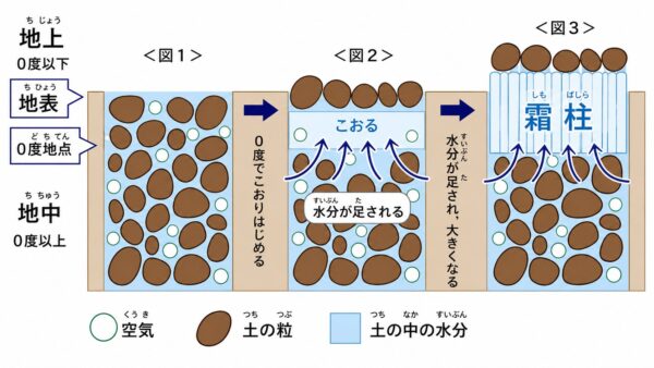凍結融解