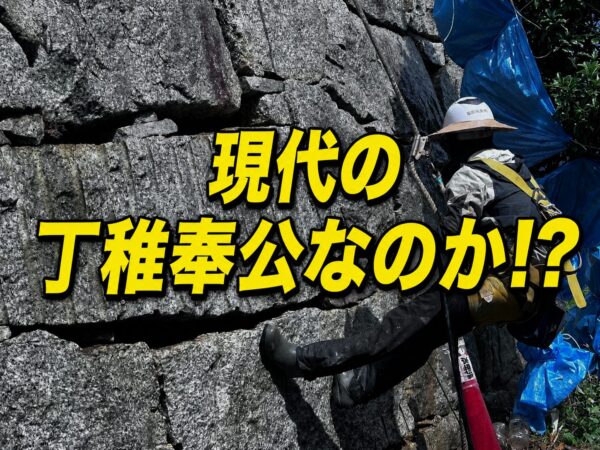 現代の丁稚奉公なのか