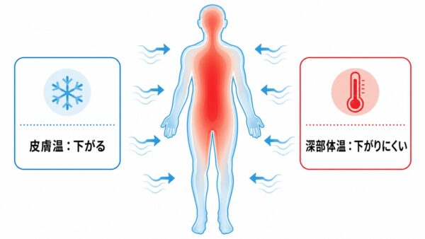 Isang konseptwal na diagram (infographic) na naglalarawan ng mekanismo ng heatstroke.