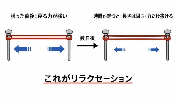 リラクセーションは輪ゴムで分かる