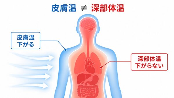Sự khác biệt giữa nhiệt độ da và nhiệt độ sâu trong cơ thể