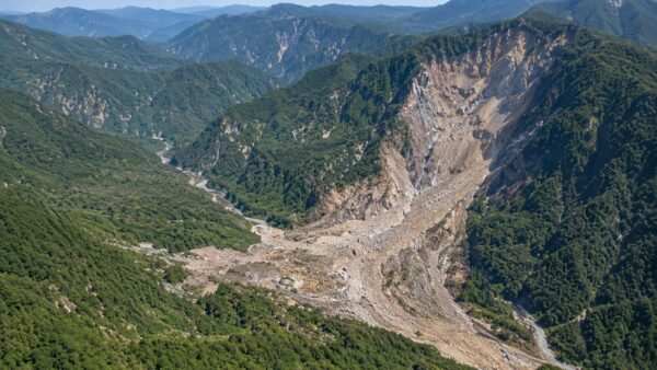 Large-Scale Slope Collapse and a Forested Canyon